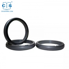 Silicon Carbide Mechanical Seals SiC O Ring Seals